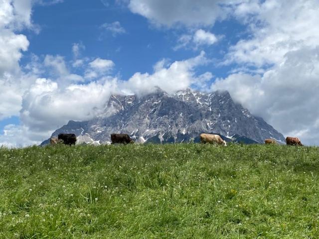 Apartamento Bergheimat Tirol Lermoos Exterior foto